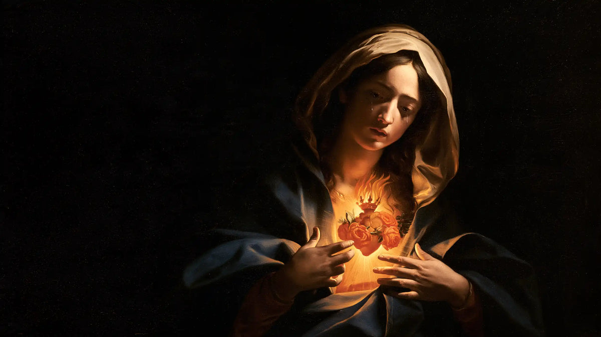 The Immaculate Heart of Mary — The Little Light Beneath the Brown Veil