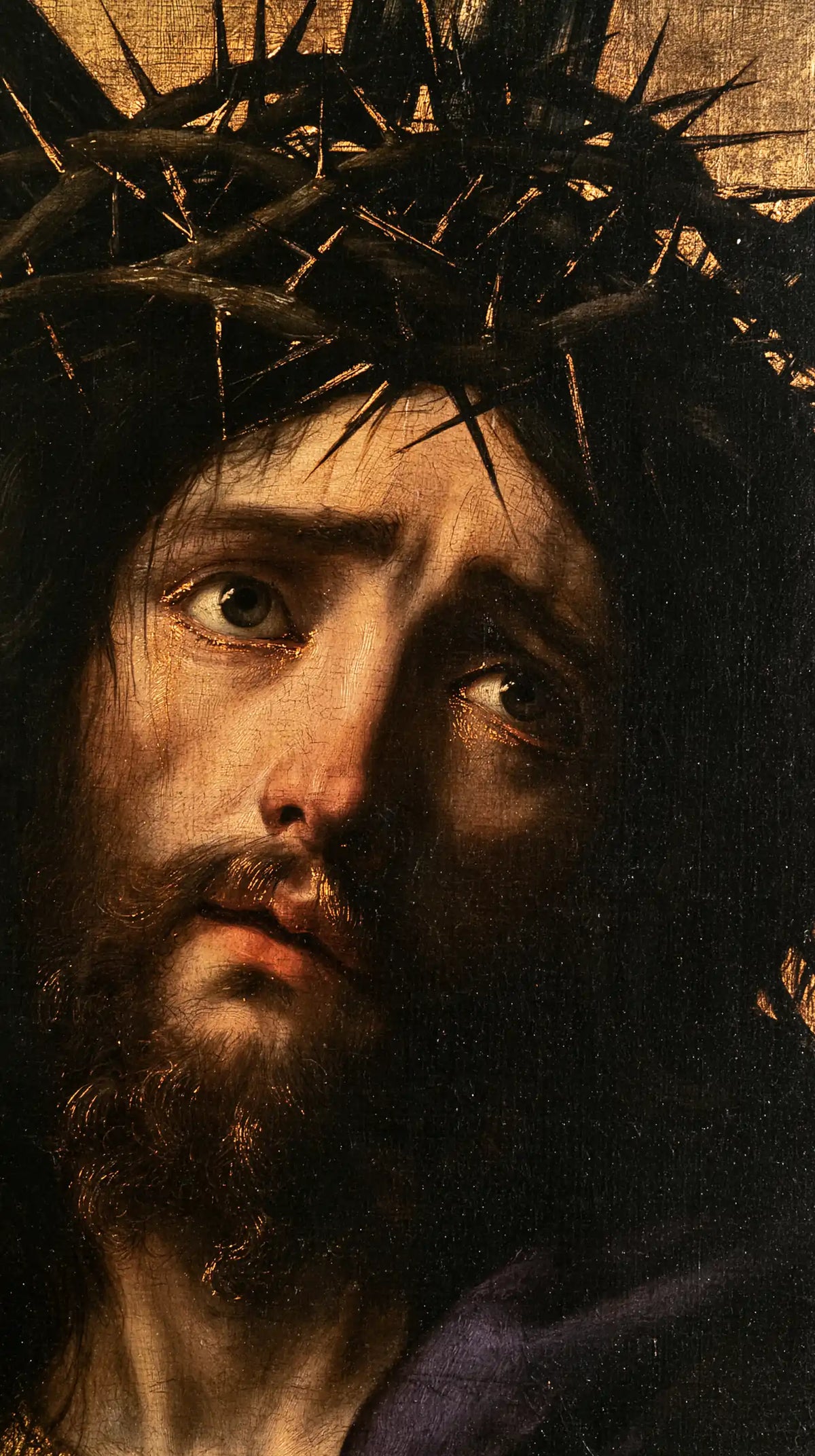 Jesus Crowned with Thorns — The Tender Gaze beneath the Tangle